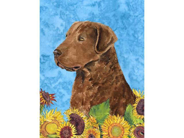 Carolines Treasures SS4165GF 11 x 15 In Curly Coated Retriever Flag Garden Size