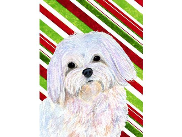 Carolines Treasures SS4551GF 11 x 15 In Maltese Candy Cane Holiday Christmas Flag Garden Size