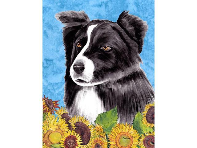 Carolines Treasures SC9071GF Border Collie Flag Garden Size