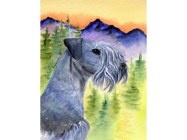 Carolines Treasures SS8232GF Cesky Terrier Flag - Garden Size 11 x 15 in