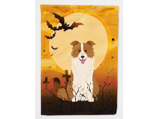 Halloween Border Collie Red White Flag Canvas House Size BB4385CHF