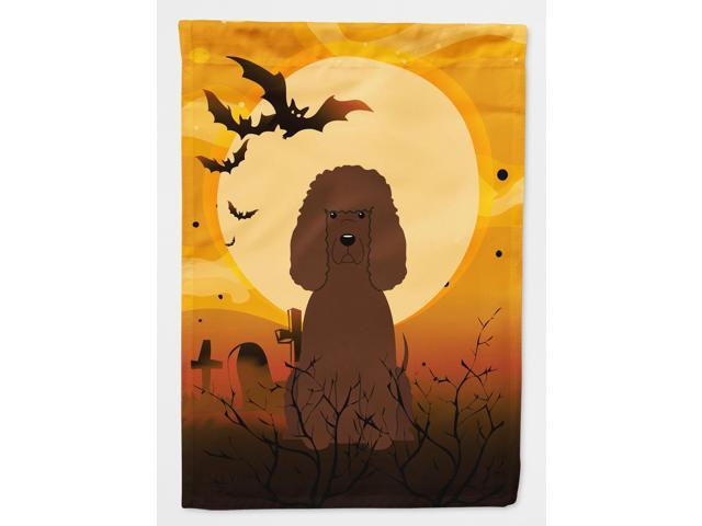 Halloween Irish Water Spaniel Flag Canvas House Size BB4329CHF