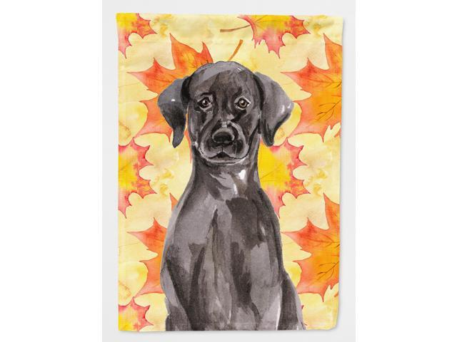 Black Labrador Fall Flag Garden Size BB9503GF