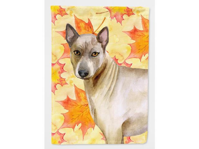 Thai Ridgeback Fall Flag Garden Size BB9941GF