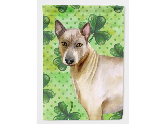Thai Ridgeback St Patrick's Flag Garden Size BB9854GF
