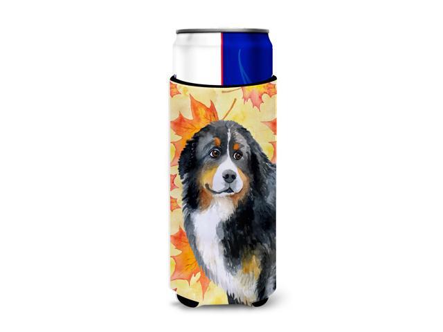 Bernese Mountain Dog Fall Michelob Ultra Hugger for slim cans BB9906MUK