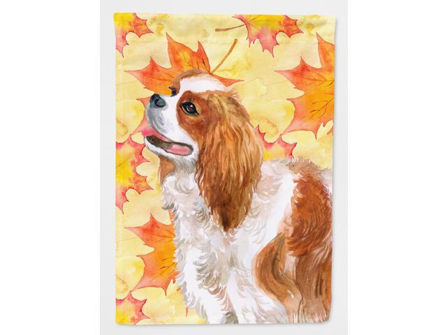 Cavalier Spaniel Fall Flag Garden Size BB9924GF