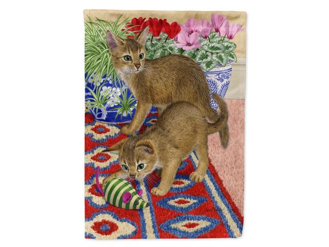 Caroline's Treasures ASA2164CHF Abyssinian Kitten Canvas House Size Flag Multicolor Large