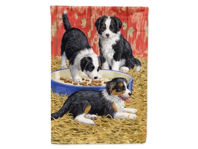 Caroline's Treasures ASA2079CHF Border Collie Pups Canvas House Size Flag Multicolor Large