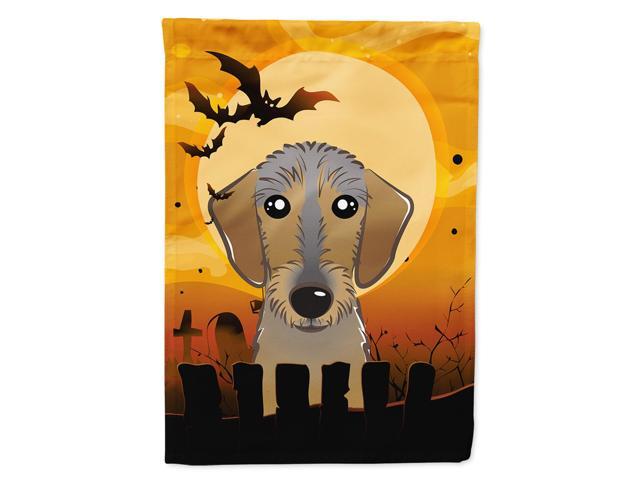 Caroline's Treasures BB1791CHF Halloween Wirehaired Dachshund Canvas House Size Flag Multicolor Large