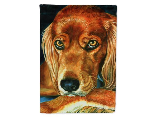 Caroline's Treasures 7315CHF Irish Setter Serious Flag Canvas Large Multicolor