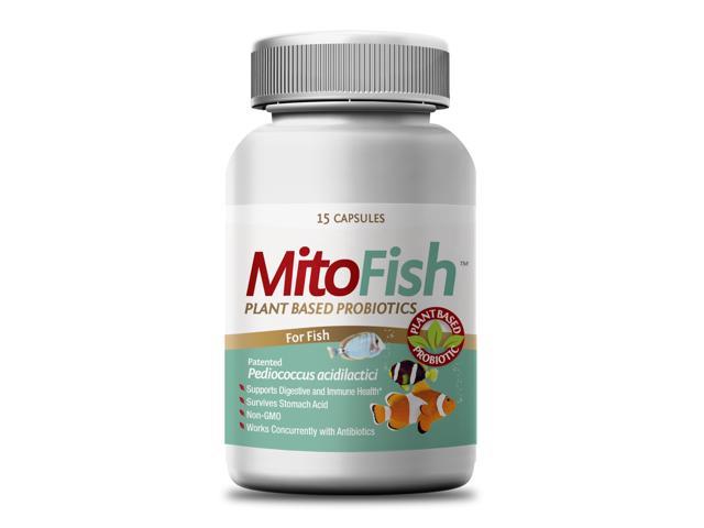 UPC 859275001058 product image for MitoFish-patented plant based premium premium probiotic for oramental fish, 15 c | upcitemdb.com