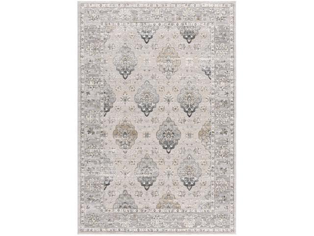 Ergode Modern Distressed Area Rug Large (8x11 feet) - 7'8' x 10'8' Cream Grey