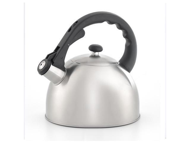 Satin Splendor 28 Qt Stainless Steel Tea Kettle