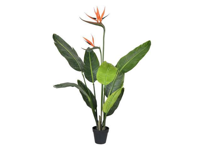 3' Potted Bird of Paradise Palm 9 Leaves