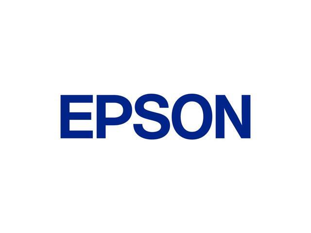 Epson Original Ink Cartridge 