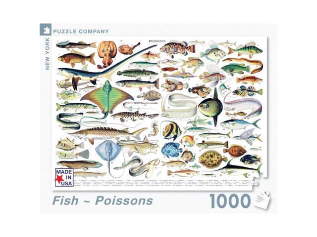 Fish - Poissons 1000 Piece Puzzle by New York Puzzle Company