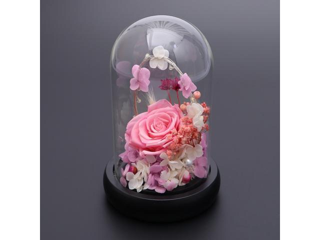 Glass Dome Lamp Silk Lily Light with LED String Preserved in Glass Dome on Wooden Base for Valentine (Pink)