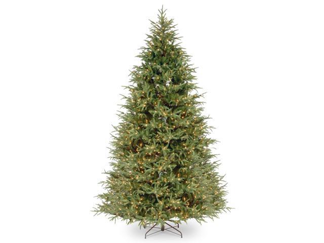 9' Pre-Lit Frasier Grande Artificial Christmas Tree - Clear Lights