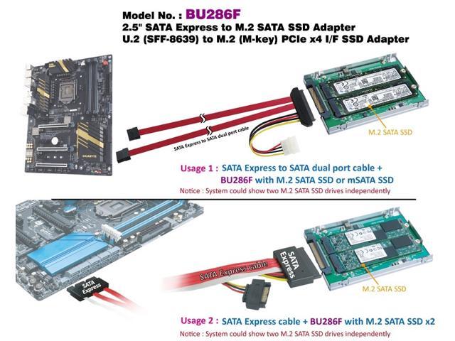 NeweggBusiness - SATA Express to M.2 & M.2 M-key with Express to SATA Dual ports Cable