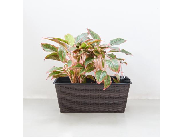 Resin Wicker 15x7x6 Self-watering Planter - Rectangular