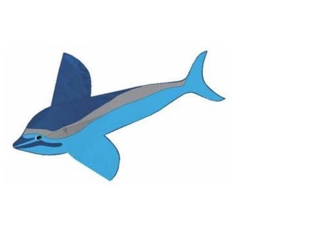 GAYLA INDUSTRIES 72'x48' Spotted Dolphin Nylon Kite