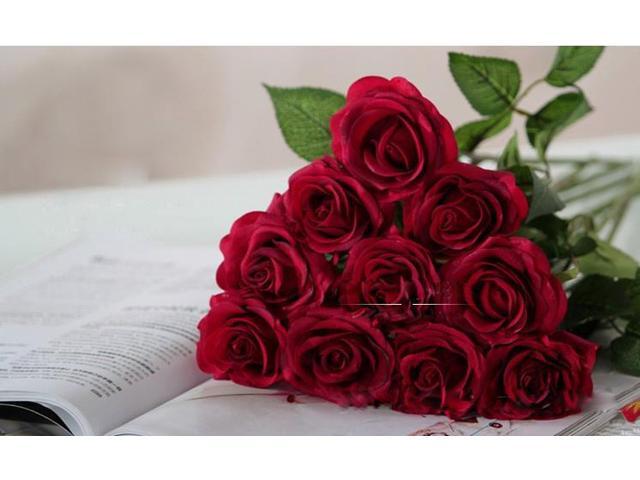 iMeshbean Colorful 20 Head Real Latex Touch Rose Flowers for Wedding Home Design & Bouquet Decoration USA (Red)