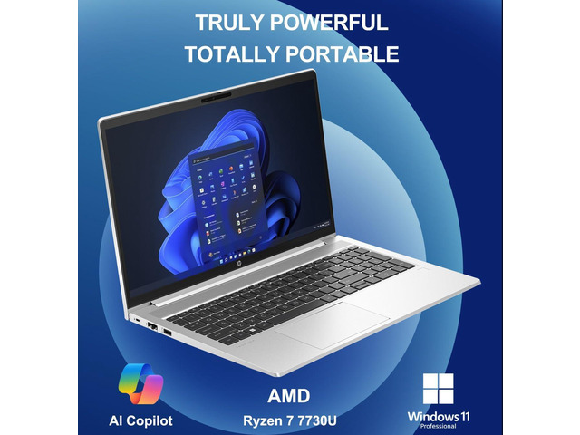 NeweggBusiness - HP ProBook 455 G10 Laptop (15.6