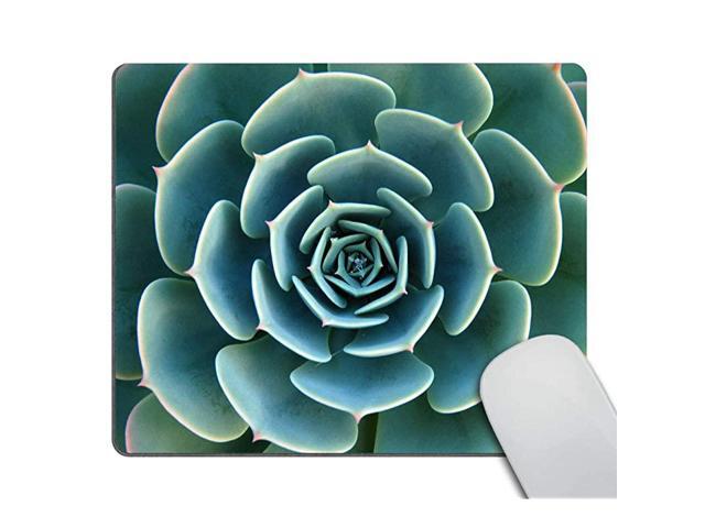 Gaming Mouse Pad CustomGreen Aloe Succulent Plant Customized Rectangle NonSlip Rubber Mousepad 95 X 79 Inch 240mmX200mmX3mm