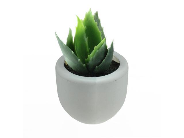 35' Mini Green Succulent Planter with White Pot Table Top Decoration