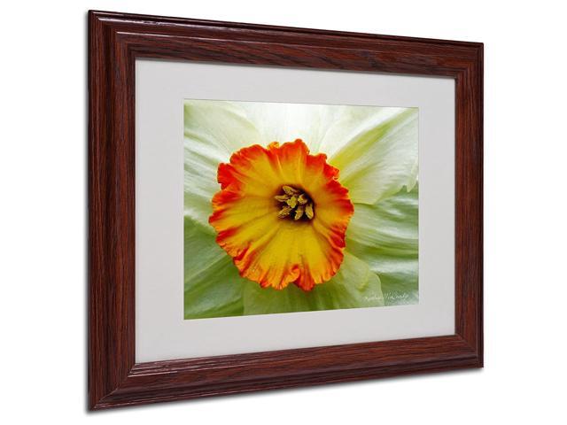Furnace Run Daffodil Large by Kathie McCurdy Canvas Artwork in Wood Frame 11 by 14-Inch