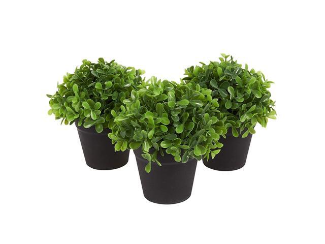 Juvale 3-Pack Mini Fake Plants Decoration Potted Artificial Plants for Indoor Outdoor Home Décor with Black Plastic Pots 5 x 52 x 5 Inches