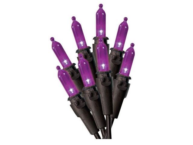 Sienna 16624N14 Halloween LED Light Set Purple 12