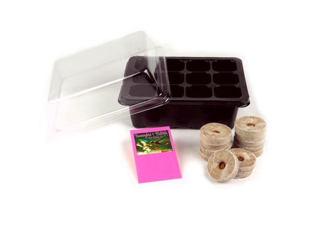 Butterfly And Hummingbird Garden Seed Starter Kit