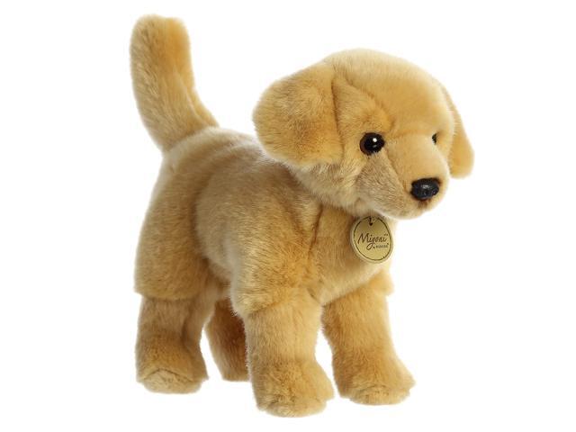 Aurora - Miyoni - 10' Yellow Labrador