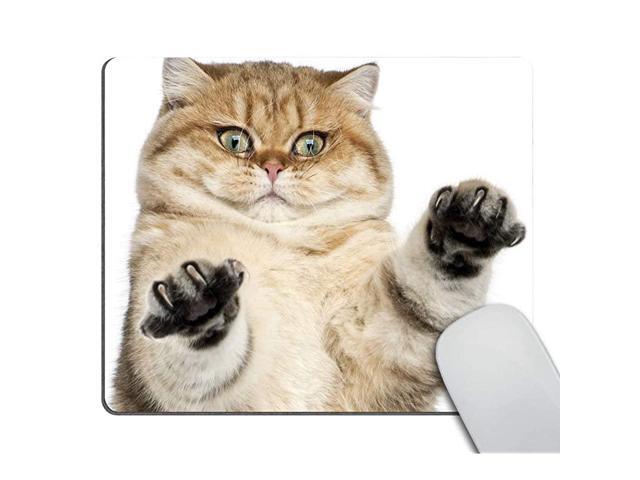 Mousepad with cat Fluffy cat Desk Accessories Mousepad Cute Desk Decor Mousepad Funny Cat paw Print White Mousepad Office Decor