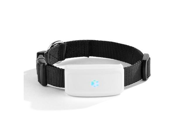 rolex original mais barato