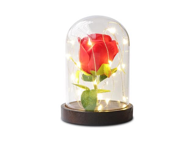 LED Rose Lamp 20 LED Beads String Light 1PCS Artificial Rose Flower on Wood Base Transparent Shell Romantic Gift for Mothers' Day Valentine's Day