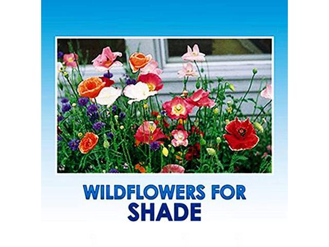 Shade Wildflower Seeds Bulk 8 Bonus Gardening eBooks + OpenPollinated Wildflower Seed Mix Packet NonGMO No Fillers Annual Perennial Wildflower