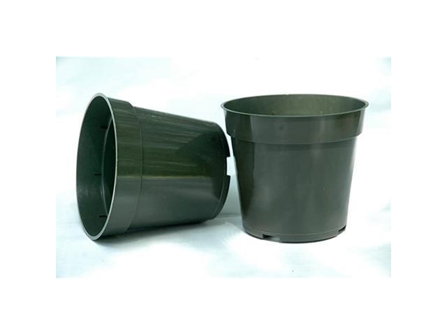 Pots for Plants Cuttings amp Seedlings 4 Inch Standard Size 20 Pack