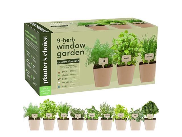 Herb Window Garden Indoor Organic Herb Growing Kit Kitchen Windowsill Starter Kit Easily Grow Herbs Plants from Seeds with Comprehensive Guide
