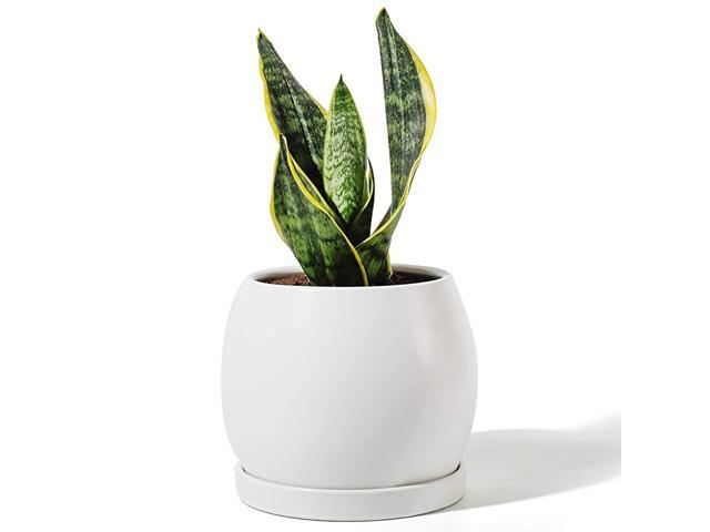 Ceramic Planter Flower Plant Pot 51 with Drain Hole SaucerEnough Space Modern Decorative for Indoor Planters Matte White