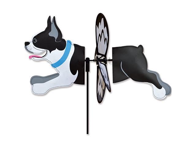Spinner Boston Terrier