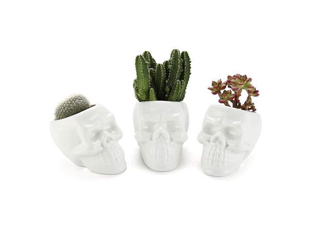 White Ceramic Skull Shaped Succulent Planter Pots Set of 3 Cute Cactus Plant Pot Creative Pen Pencil Holder for Home Office Desk Decoration