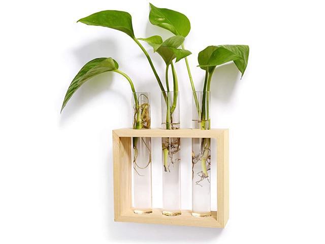 Wall Hanging Glass Planter Propagation Station Modern Flower Bud Vase in Wood Stand Rack Tabletop Terrarium for Hydroponics Plants Home Office