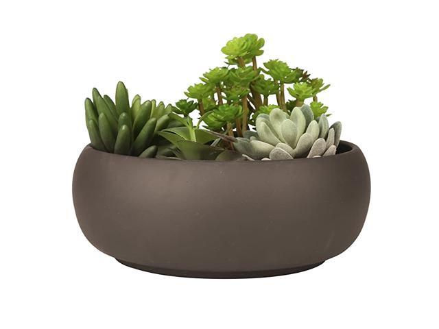 Unglazed Round Ceramic Succulent Cactus Planter Pot with Brown Matte Finish