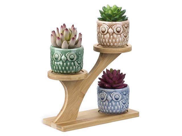 Mini White Ceramic Owl Garden Pots Decorative Nursery Succulent Planters with 3 Tier Bamboo Tray for Room Decor 3 Owl Pots in 1 Treetop Bamboo Stands