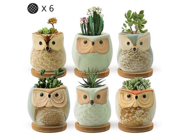 Succulent Pots 25 Owl Planter Owl Pot Small Pots for Plants Cute Small Planter with Accessories Great for Home Decor and Ideal Gift Set of 6