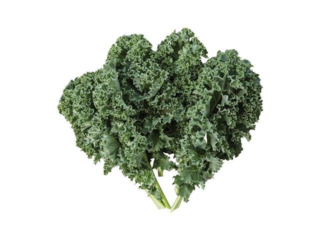 Prizm Hybrid Kale Seeds 50 seeds