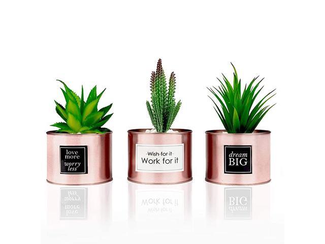 Decor for Women Desk Rose Gold Decor Desk Plant For Bookshelf Decor Boho Bedroom Decor For Women College Dorm for Girls Artificial Plant Cactus